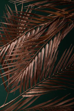 Golden Date Palm Tree Branches Against Emerald Color Background. Luxury Decorative Poster Print or Web Banner Background.