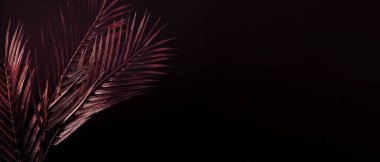 Golden Date Palm Tree Branches Against Dark Color Background. Luxury Creative Toned, Decorative Poster Print or Web Banner Background.