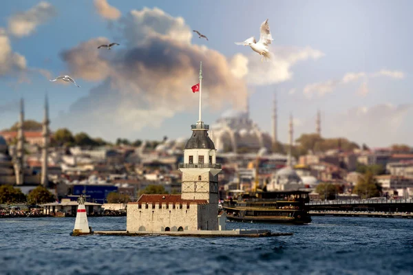 Panenská Věž Mezi Létajícími Racky Bosporu Istanbulu Turecku — Stock fotografie