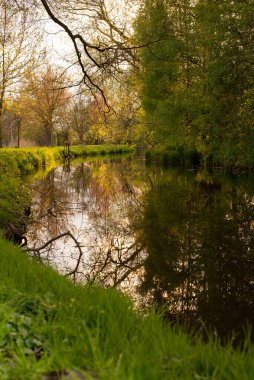 Gün batımında gölün ve ağaçların olduğu güzel bir ilkbahar doğal manzarası. Wroclaw Polonya yakınlarındaki Olesnica nehrinin manzarası. Yüksek kalite fotoğraf