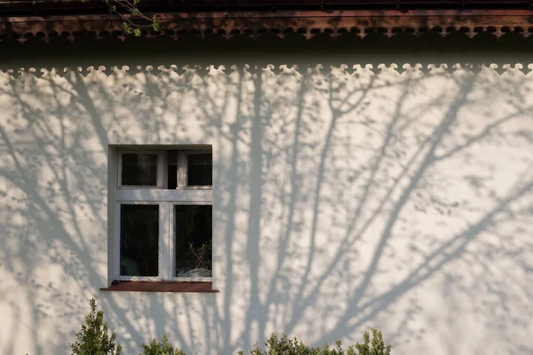 Schatten Von Frühlingsbaumzweigen Einer Weißen Wand Eines Alten Polnischen Hauses — Stockfoto