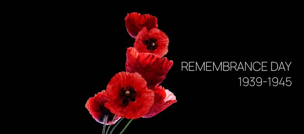 Remembrance Day Banner Template Red Poppie Black Background Banner Memorial — Stock Photo, Image