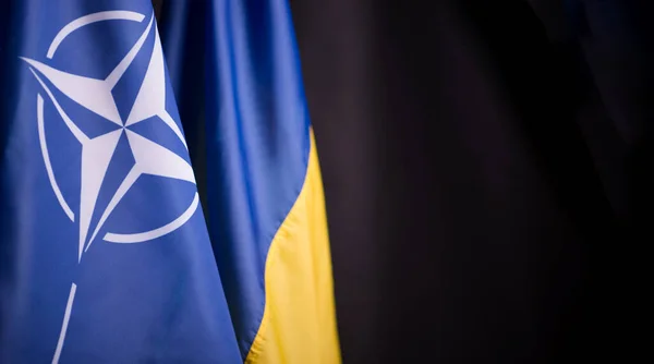 Ukraina Kijów 2023 Oficjalne Flagi Ukrainy Nato Czarnym Tle Symbol — Zdjęcie stockowe