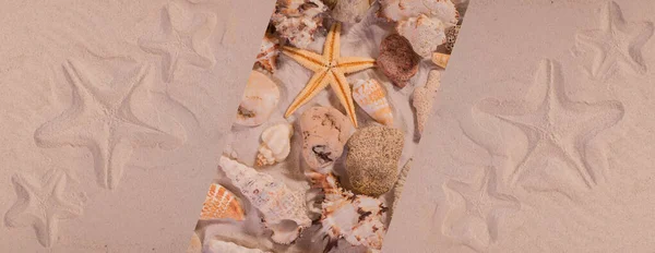 Traço Estrela Mar Uma Superfície Areia Fundo Sazonal Verão Bom — Fotografia de Stock