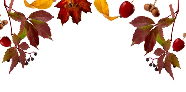 明るい赤黄色のカエデの葉を持つバナー白に隔離されたロープの上にクロッシンスピンで吊るされています 秋のコンセプト 秋の背景 — ストック写真