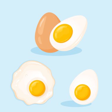 Tavuk yumurtası seti. Kızarmış yumurta, haşlanmış yumurta ve kabuklu yumurta. Sağlıklı Gıda, Protein Kahvaltı Çizimi.