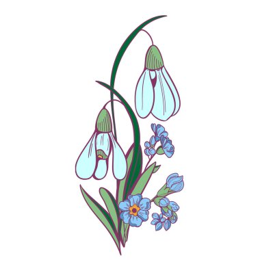 İlk bahar çiçeklerinin, beyaz kar damlalarının ve beyaz arka planda mavi unutmamanın bir tasviri. Çizim stili vektör çizimi. Bahar Mevsimlik Tasarım Elementi.