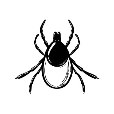 Beyaz arka planda Lyme Tick vektör çizimi. El Çizimi Mite vektör çizimi