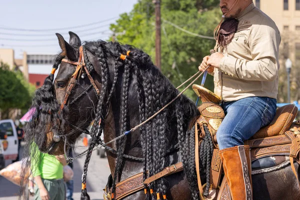 San Antonio Teksas Abd Nisan 2022 Çiçek Yürüyüşü Savaşı Atlara — Stok fotoğraf