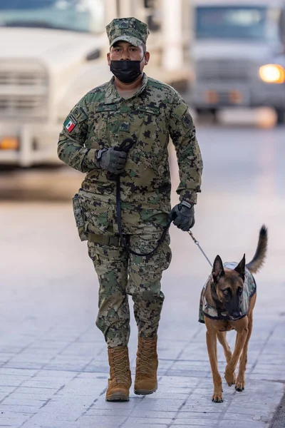 メキシコ タマウリパス州マタモロス 2022年9月16日 海軍K 9部隊の一員として犬と共に9月16日に除隊 ストック写真
