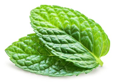 Green mint pepper leaf isolated on white. Fresh Melissa leaf. Peppermin