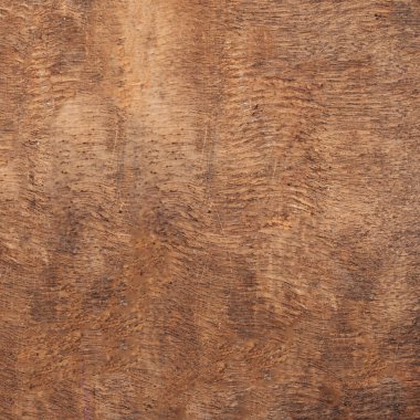 Brown Wood texture with Scratches. Old natural wooden shabby background close u