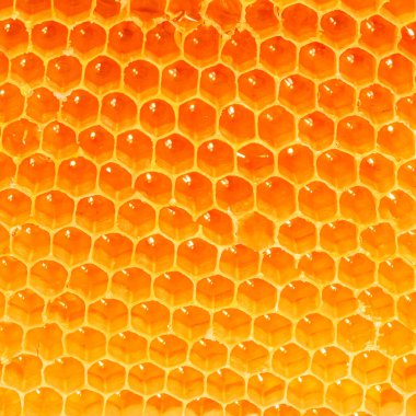 Honeycomb Pattern. Honey texture as a  background, wallpaper. 