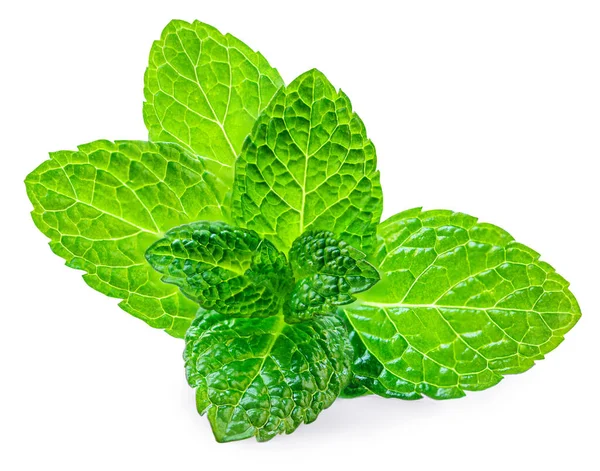 Fresh Spearmint Leaves Isolated White Background Mint Peppermint Mentha Close — Stockfoto