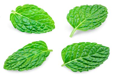 Mint leaves Pattern. Fresh Melissa isolated on white background.