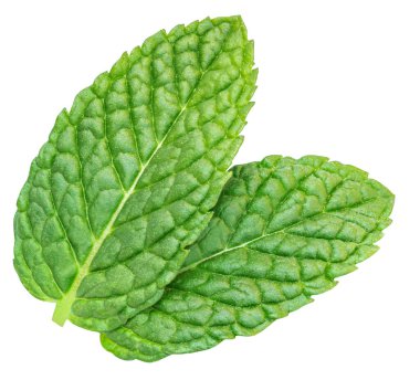 Fresh green mint leaves isolated on white background, top view. Melissa leaf. Peppermint Flat la