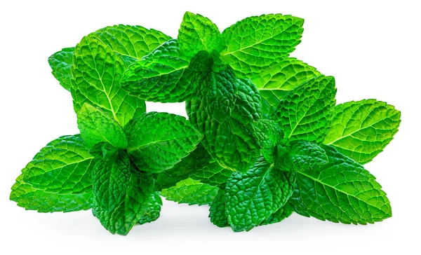 Fresh Spearmint Leaves Isolated White Background Mint Peppermint Mentha Close — Stok fotoğraf
