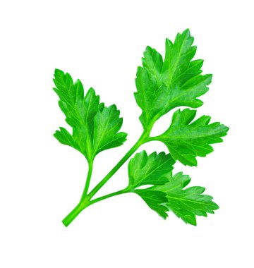 Parsley isolated on a white background. Fresh green vitamin parsley herb  closeu clipart