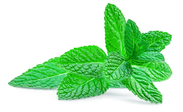 Fresh Spearmint Leaves Isolated White Background Mint Peppermint Mentha Close — Stock Fotó