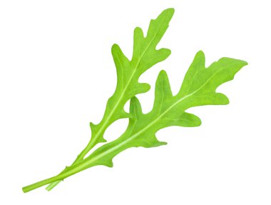 Beyaz arka plan makrosu üzerinde yeşil taze arucola yaprakları. Arugula Top Manzarası. Düz la