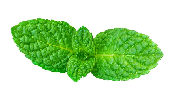 Mint Leaves Isolated White Background Peppermint Top View Fresh Green — Stock Photo, Image