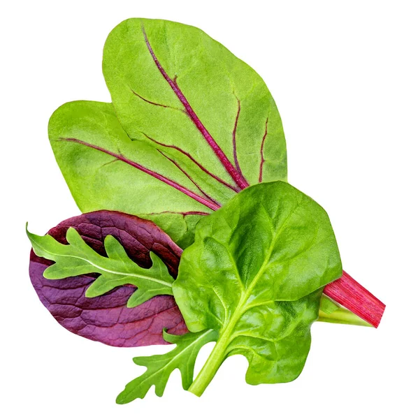 Salatmischung Mit Rucola Oder Rucola Radicchio Und Spinat Isoliert Auf — Stockfoto
