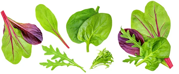 Saladebladeren Collectie Geïsoleerde Gemengde Saladebladeren Met Spinazie Risee Snijbiet Sla — Stockfoto