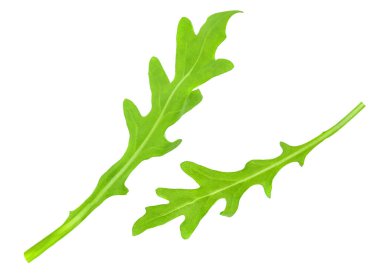 Taze yeşil roka yaprakları beyaz arka planda izole edilmiş. Rucola şifalı otlar üst görünümü oluşturur. Düz la