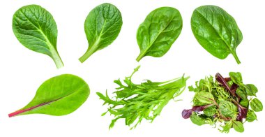 Salata yaprakları beyaz arka planda izole edilmiş. Rozetli salata, ıspanak, turşu ve kuzu salatası.