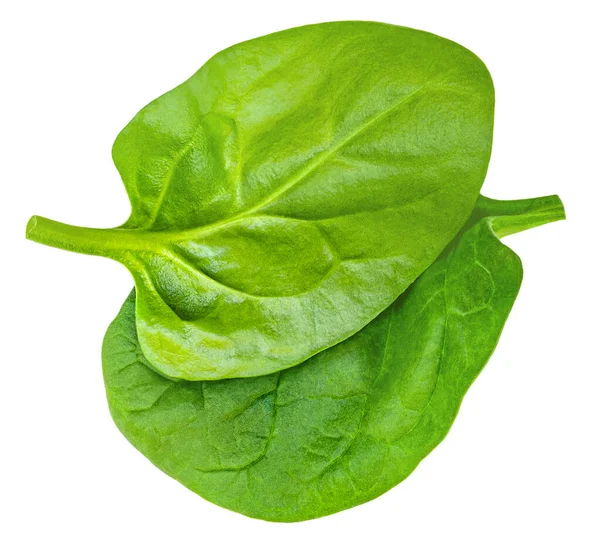 Spinatblatt Isoliert Auf Weißem Hintergrund Haufen Frischer Grüner Baby Spinat — Stockfoto