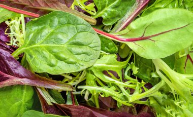 Salata yaprakları ıspanak yaprağıyla karıştırılmış roka, beyaz arka planda izole radyo. Salata Koleksiyonu üst görünümü, düz yatış. Yaratıcı yerleşim