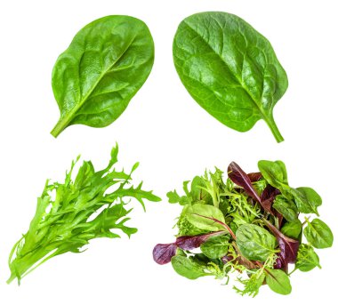 Salata yaprakları beyaz arka planda izole edilmiş. Salata Koleksiyonu üst görünümü, düz yatış. Yaratıcı layou