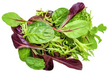 Salata yaprakları beyaz arka planda izole edilmiş. Rozetli salata, ıspanak, turşu ve kuzu salatası. Yaratıcı layou