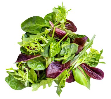 Salata yaprakları beyaz arka planda izole edilmiş. Rozetli salata, ıspanak, turşu ve kuzu salatası. Yaratıcı layou