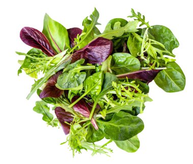 Salata yaprakları beyaz arka planda izole edilmiş. Rozetli salata, ıspanak, turşu ve kuzu salatası. Yaratıcı layou