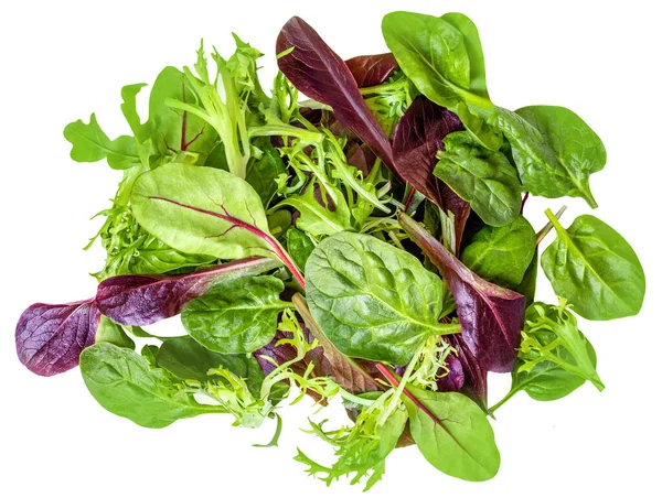 Saladebladeren Mix Geïsoleerd Witte Achtergrond Salad Collection Bovenaanzicht Vlak Creatieve Stockafbeelding