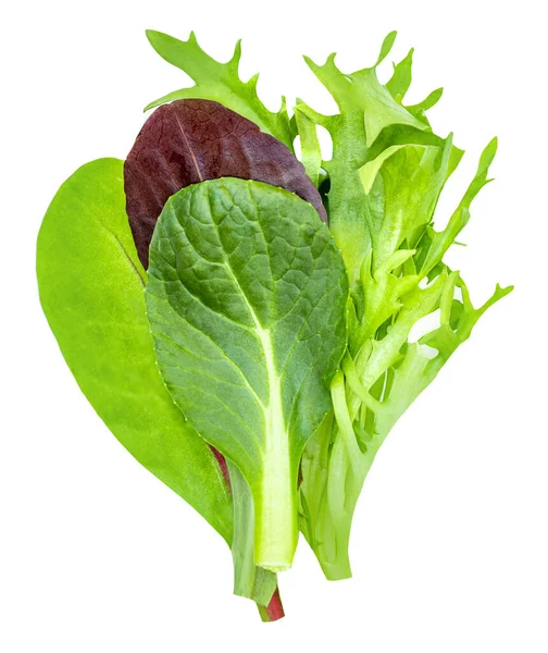 Salad Leaves Isolated White Background Salad Collection Top View Flat — Stock Photo, Image