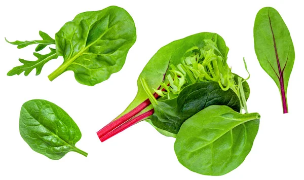 Salatblätter Mischen Sich Mit Spinatblättern Ruccolla Radicho Auf Weißem Hintergrund — Stockfoto
