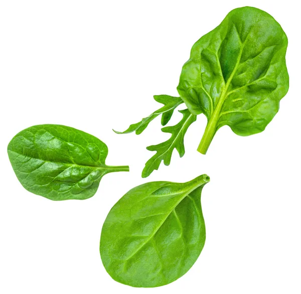Spinach Leaf Wirth Ruccola Isolated White Background Salad Collection Top — Stock Photo, Image