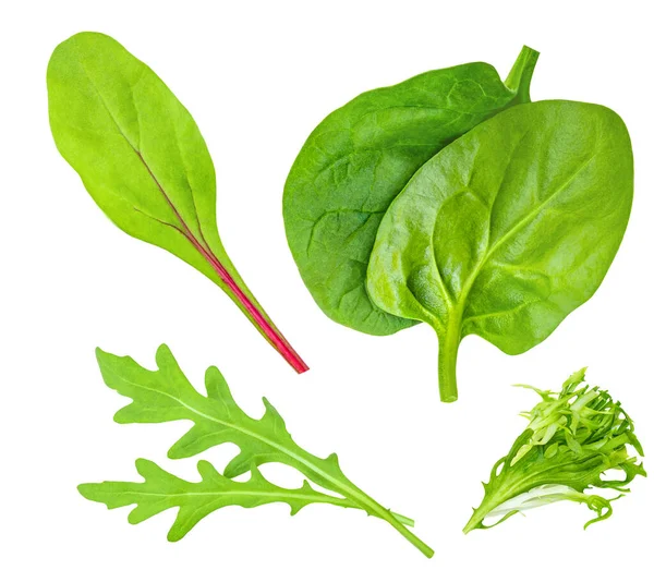 Salatblätter Mischen Sich Mit Spinatblättern Mit Ruccola Radicho Isoliert Auf — Stockfoto