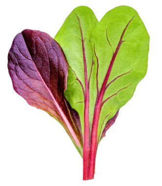 Beyaz arka planda izole salata yaprakları. Salata Koleksiyonu düzdü. Yenilebilir taze fiber salanın yaratıcı düzeni