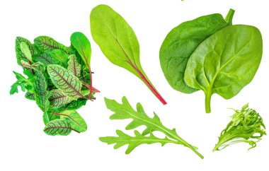 Salata yaprakları ıspanak yaprağıyla karıştırılmış roka, beyaz arka planda izole radyo. Salata Koleksiyonu üst görünümü, düz yatış. Yaratıcı layou