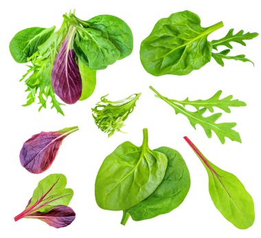 Salata yaprakları ıspanak yaprağıyla karıştırılmış roka, beyaz arka planda izole radyo. Salata Koleksiyonu üst görünümü, düz yatış. Yaratıcı layou
