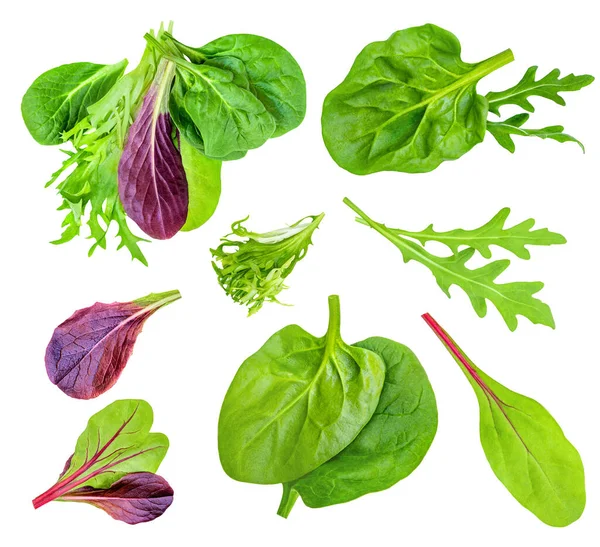 Saladebladeren Vermengd Met Spinazie Blad Met Ruccola Radicho Geïsoleerd Witte — Stockfoto