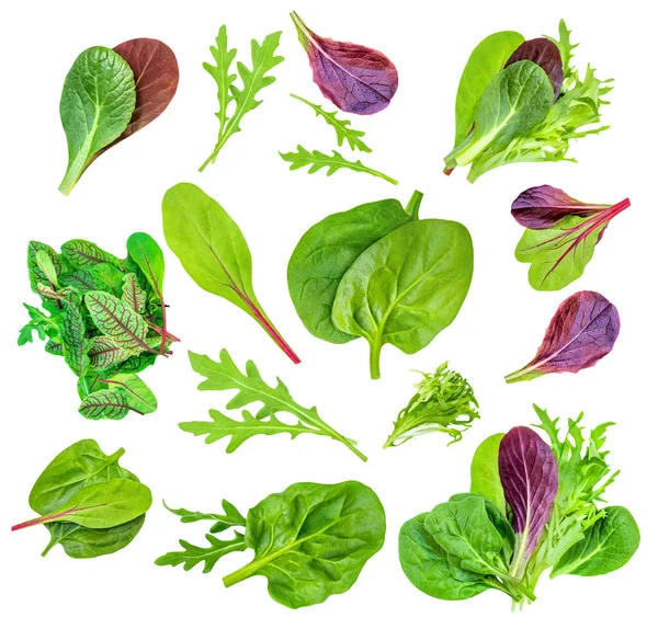 Saladebladeren Vermengd Met Spinazie Blad Met Ruccola Radicho Geïsoleerd Witte Rechtenvrije Stockfoto's