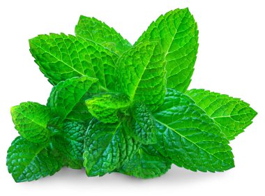 Beyaz arka planda taze nane. Nane yaprakları izole. Melissa, nane şekeri yakın.