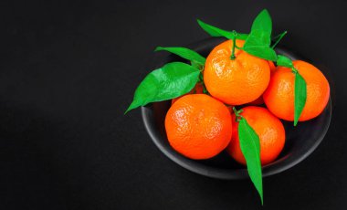 Siyah arka planda yaprakları olan taze mandalina ya da meyve. Kopyalama. Yeni seçilmiş mandalinalar Üst görünüm