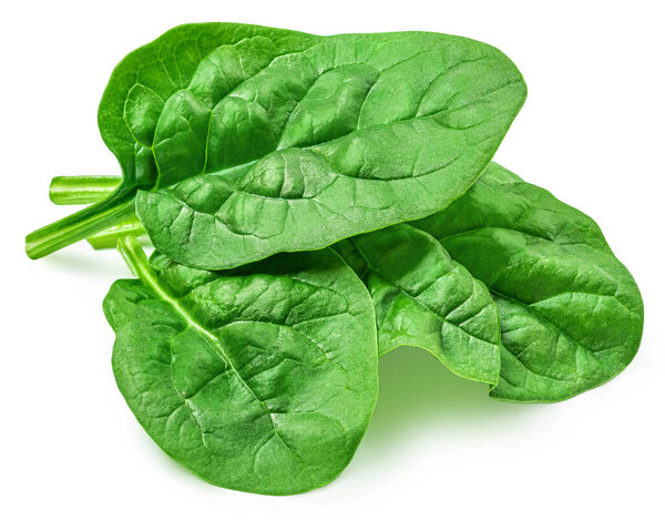 Fresh green leaves of Spinach leafy vegetable isolated on white background. Spinach Macro. Top view. Flat lay