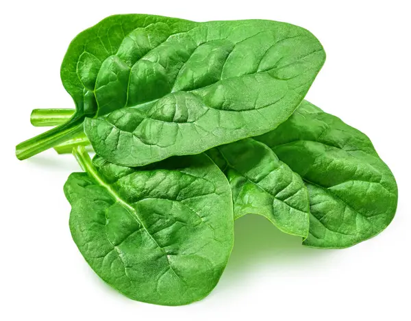 Frische Grüne Blätter Von Spinat Blattgemüse Isoliert Auf Weißem Hintergrund Stockbild