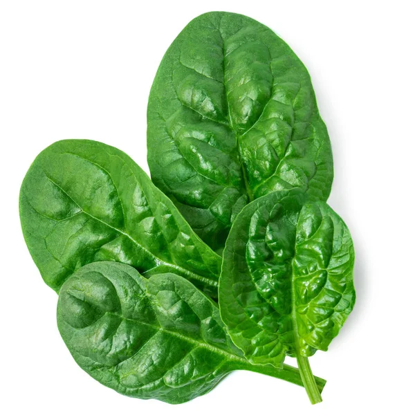 Fresh Green Leaves Spinach Leafy Vegetable Isolated White Background Spinach Royalty Free Stock Images